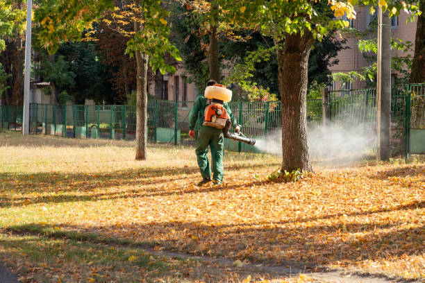 Best Flea Control Services  in Whitehall, WI