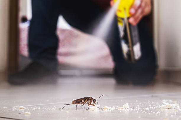 Best Mosquito Control Services  in Whitehall, WI