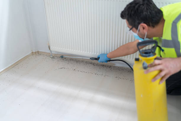 Best Affordable Pest Control Services  in Whitehall, WI
